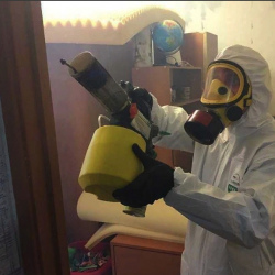 Уничтожение клопов в квартире. Волосово